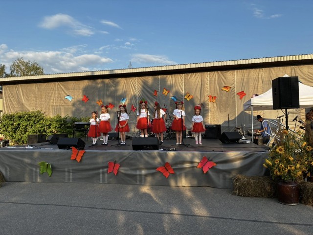 Naujenes, Biķernieku un Maļinovas pagastu diena